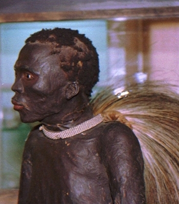 La historia del “Negro de Banyoles”,un africano que fue disecado y expuesto como un animal en un museo de España