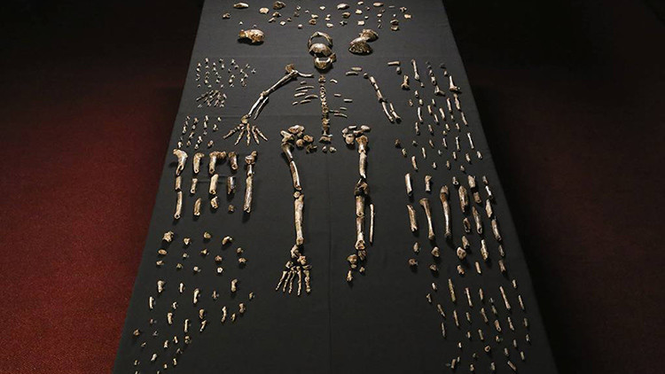 Anuncian el descubrimiento de una especie humana en África: Homo naledi